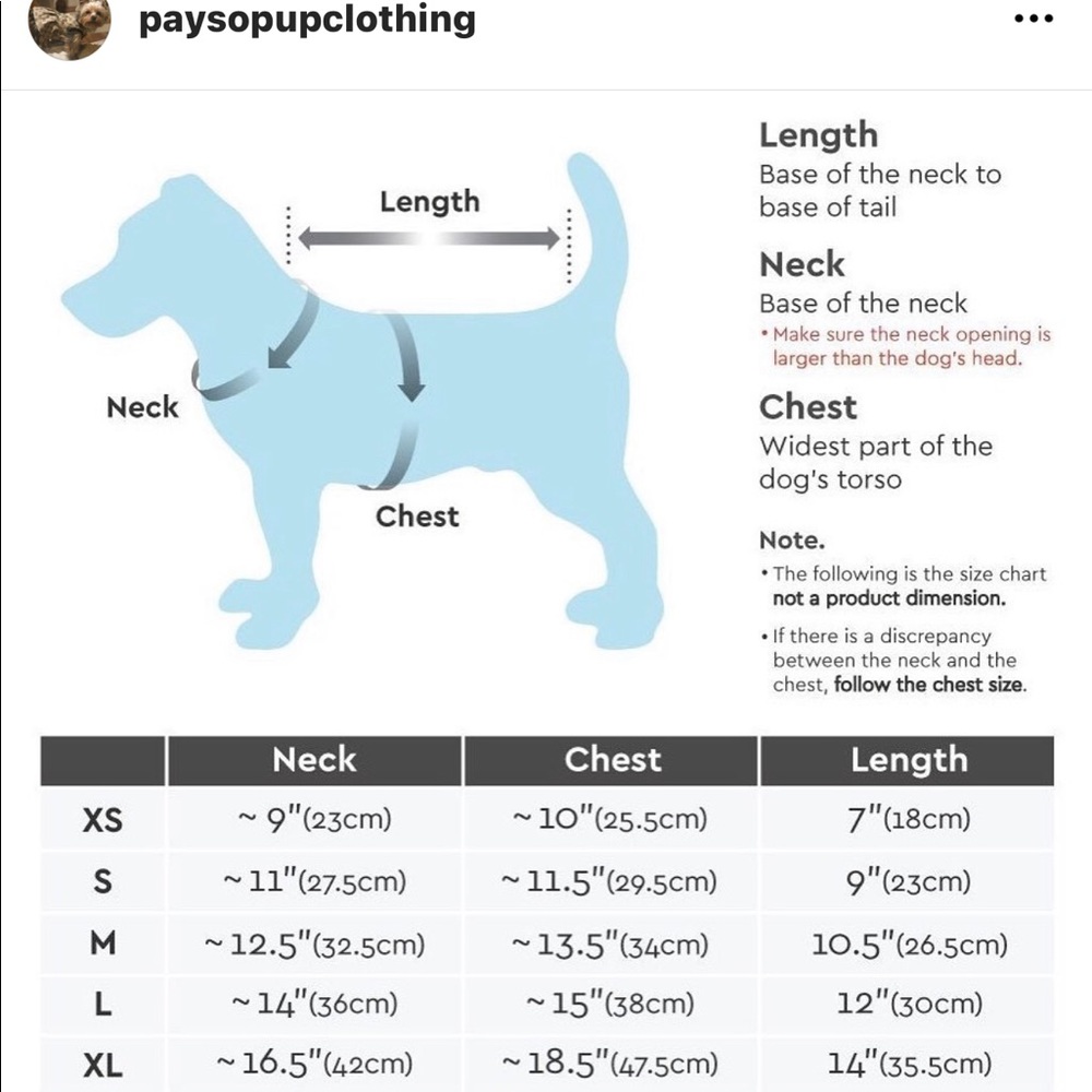 Beautiful inspired G doggy coat.  Message size - Picture 3 of 8